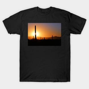 Desert Drama T-Shirt